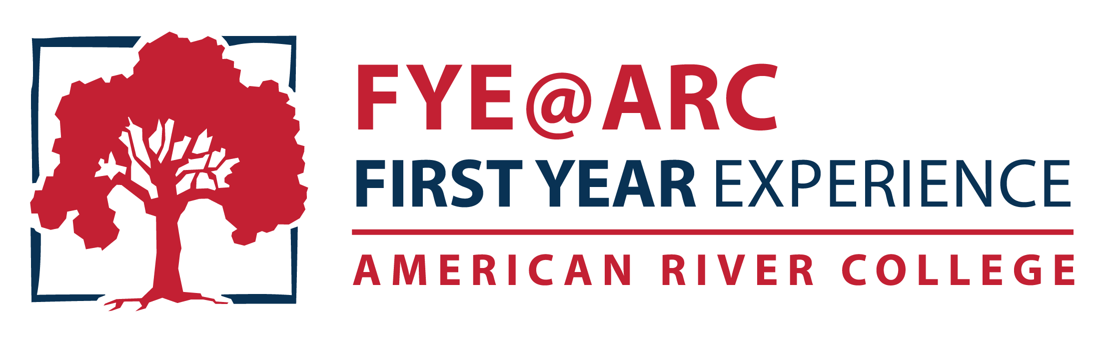 First Year Experience (FYE) program