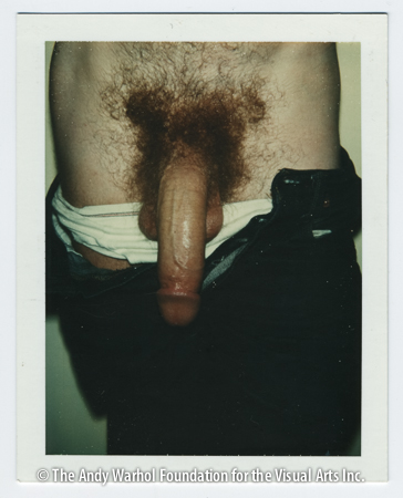 Nude model (male), 1977 Polaroid Polacolor Type 108. 4.25" x 3.375"