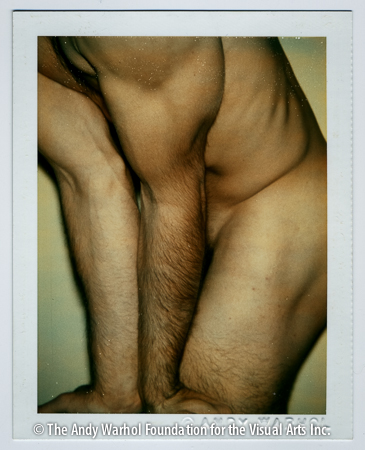 Nude model (male), 1977 Polaroid Polacolor 2. 4.25" x 3.375"