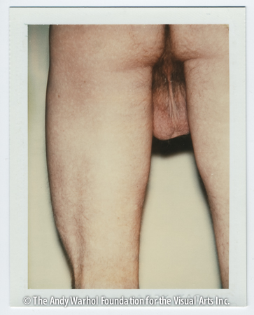 Torso, 1977 Polaroid Polacolor Type 108. 4.25" x 3.375"