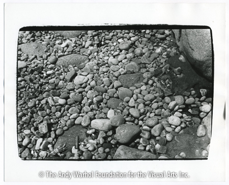 Rocks on the beach, undated gelatin silver print. 8" x 10"