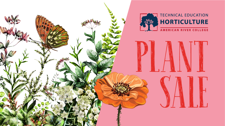 Graphic that says plant sale