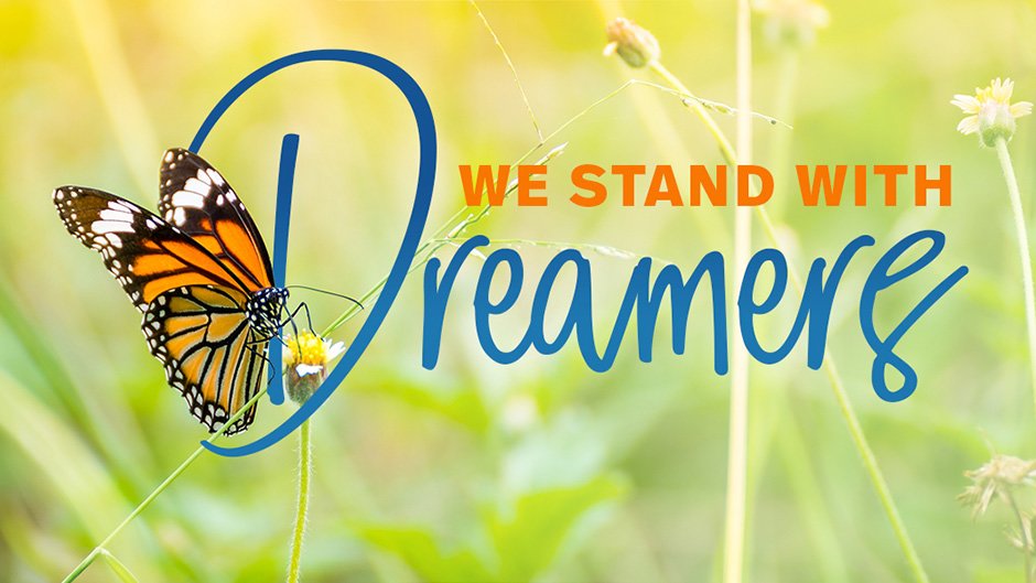 Monarch butterfly perched on We Stand With Dreamers text